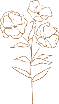 floral illustration