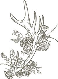 antler and floral illustration