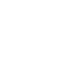 vasvaandco-submark-logo_white_transparent