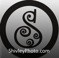 shivleyphoto logo