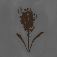 Color2