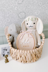 Nursery details during in-home newborn photos with  Indianapolis Newborn Photographer, Capturing Simplicity Photography