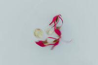 catalina-island-wedding-photographer-30