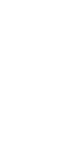 hand drawn branch