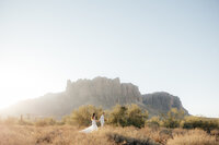 Arizona Elopement Photographer Bride and Groom Holding Hands Walking Through Desert