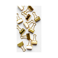 Gold Clips Cropped (1)