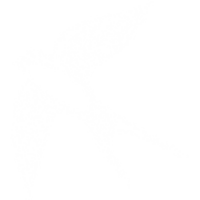 white swallow graphic retro drawing