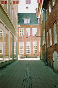 film photo of alley in Denmark