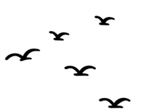 Birds Icon