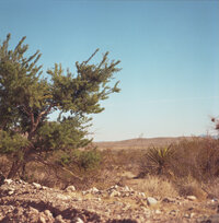 Film 2022-24