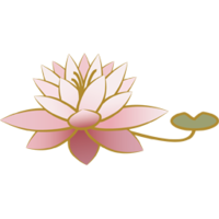 Lotus flower-256px