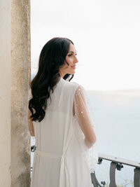 Flowers at sunset in Vondel park, Amsterdam.