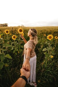 In this sun-kissed field, a moment of joyful connection with nature is shared as a person is led by a companion through a sea of sunflowers.