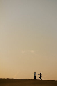 Silhouette of a couple holding hands against a soft sunset sky on a wide-open horizon, photographed by a West Michigan wedding photographer.