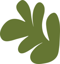 Discovery Montessori School