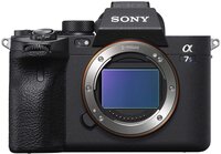 Sony a7iii Camera for Photographers
