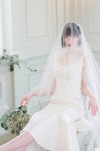 lana midi wedding dress with cathedral veil