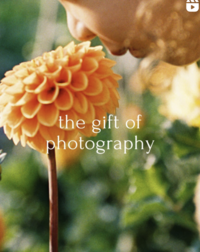 online course teaching parents how to photograph their kids