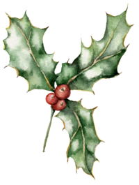 Holly
