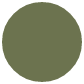 Green circle outlined in white.