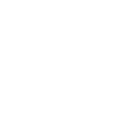 Star Constellation of horse