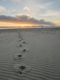 sunrise over a beach