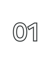 number 01