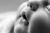 Taylor Maurer Photography - Beckett Newborn 31