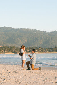 A recently engaged couple poses for joyous photos after their proposal.