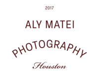 Aly Matei simplified logo maroon