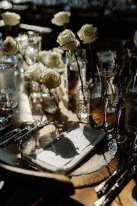 Michigan Equestrian Wedding