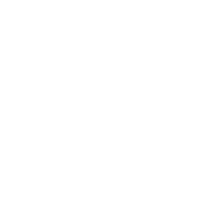 peregrine-coaching-consulting-white-logo-icon