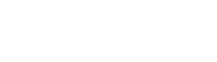 Next Level studios Logo