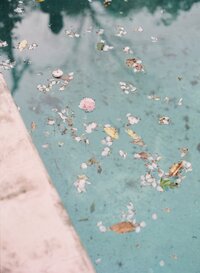 Atlanta Wedding Photographer