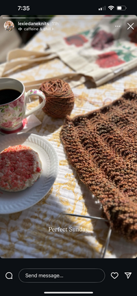 Lexie Dane Knits Instagram story of WIP Venus top