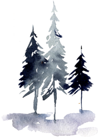 Watercolor Blue  and Grey Pine Trees