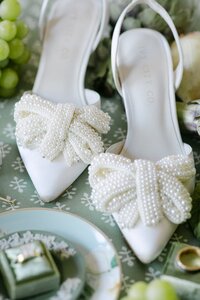 michigan wedding photographer