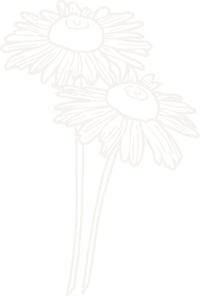 hand illustrated flowers