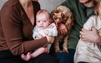 Family relaxing at home during family photo session in Renton, WA. Dog is licking a baby.