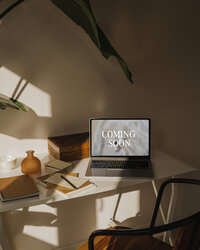 Branding vormgeving logo grafisch vormgever brandingshoot google seo showit website laten maken logo design ontwerpen 