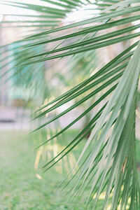 rachaelosborn.com-ariaabby-09484