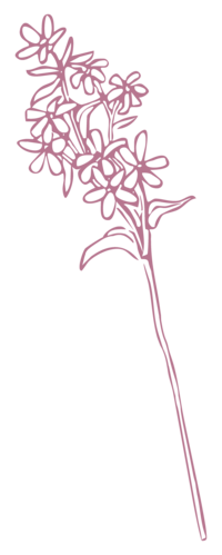 Abby Grace Florals flower icon