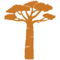 Icon of a Baobob tree