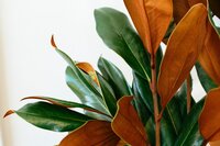 kelly-sikkema-1RTvJnAiFtI-unsplash