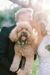 Bride and groom with dog on wedding day