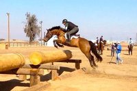 Eventing Cross Country