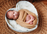 Don't Blink Photography Newborn Twins session