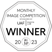 AIBP Monthly image competition winner 2023