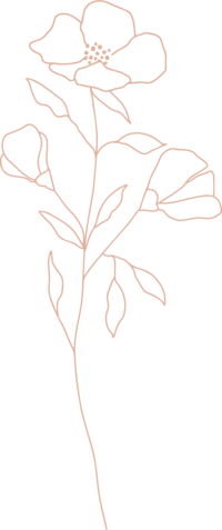 Pink illustration of Wildflower