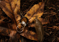 Set of wedding rings on an autumn leaf with a banana slug next to them in Oregon